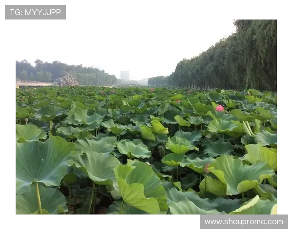PG娱乐集团娱乐平台积极响应行业规范，推动绿色健康娱乐发展